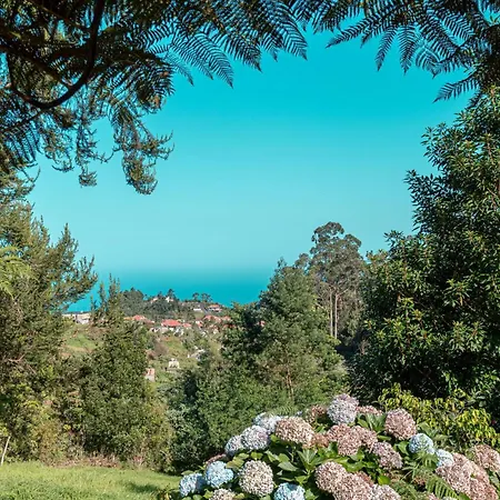 Villa Sao Jorge Sao Jorge (Madeira)